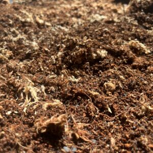 Tarantula-lab Substrate Recipe