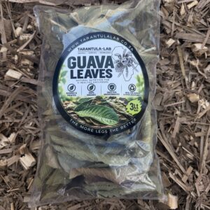 Guava leaves 3L bag