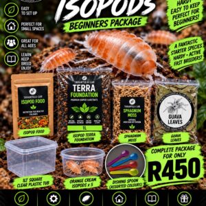 Orange Cream isopod beginner package