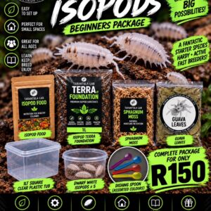 Dwarf White isopod beginners package