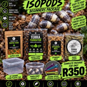 Panda King isopod beginner package
